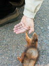 High five