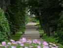 Park road