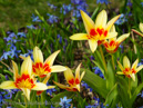 Spring time