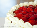 Cream cake