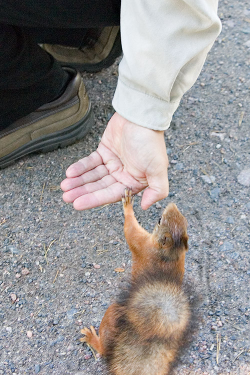 High five